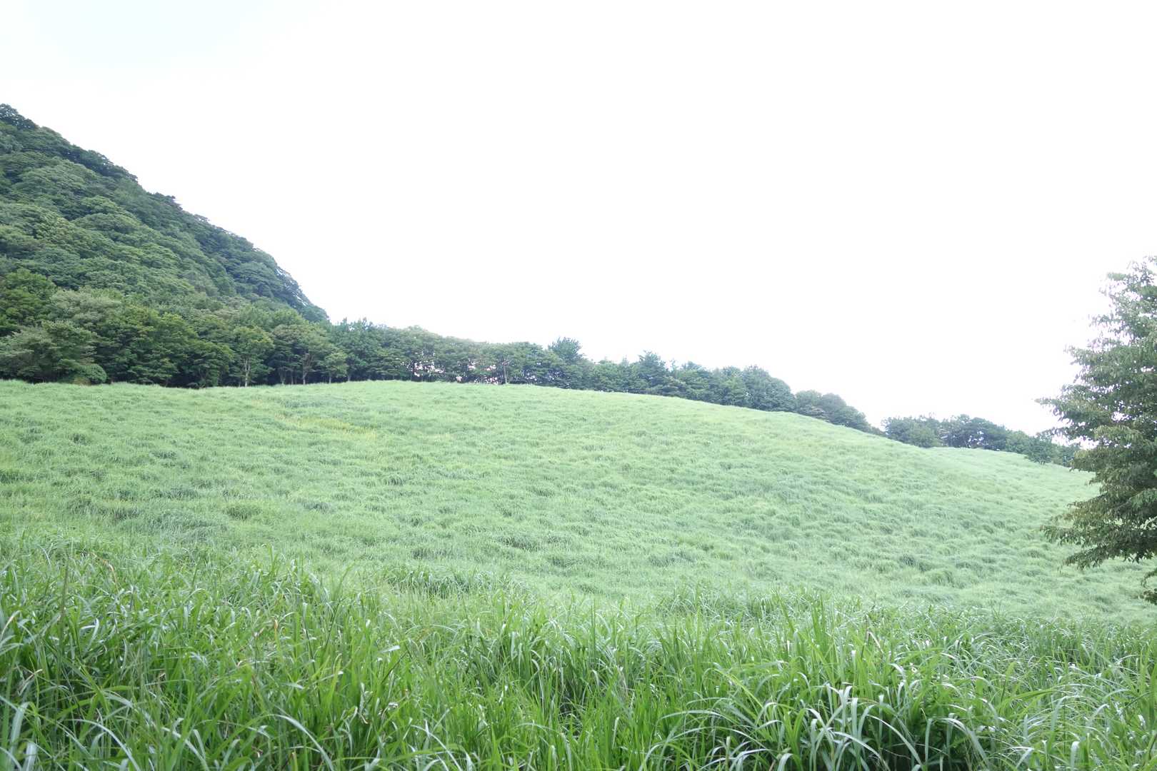 スキー場。