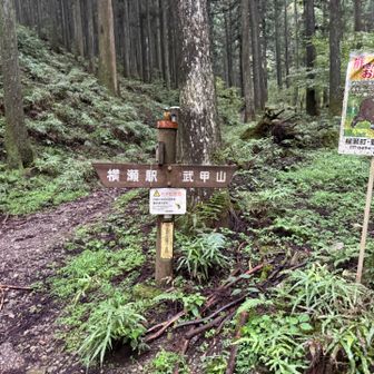 予定通りの時間で下山。
多分1200kcalくらいしかエネルギーとってない気がするけどシャリバテにはなりませんでした。人体の仕組みがよくわからん。
