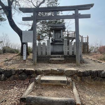 お賽銭持ってきたのでお参り⛩️して