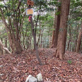 長尾山山頂
四等三角点「古屋」