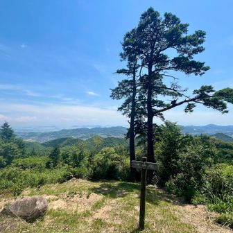 夫婦松のある展望スポット🌲
東屋はたくさんの人で賑わい🍙
このまま下山しようとしたら、「そっちは道が悪いから行かない方がいいよ」と親切に教えてもらいました💯そう言われると進めませんね笑