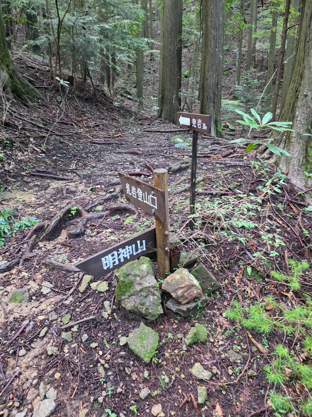 乳岩登山口分岐まで登って来た