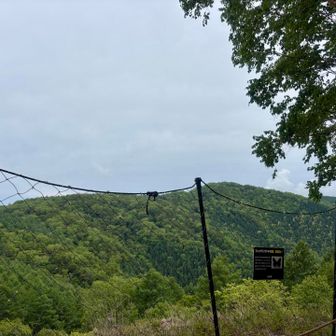 裸山から見た櫛形山