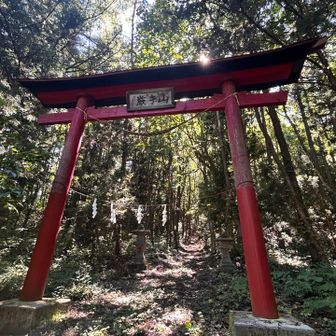上坊神社の鳥居を潜り⛩️