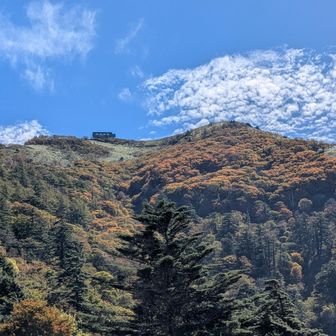 昨日より紅葉が進んでます。
ここより見ノ越登山口に下っておつかれ山。