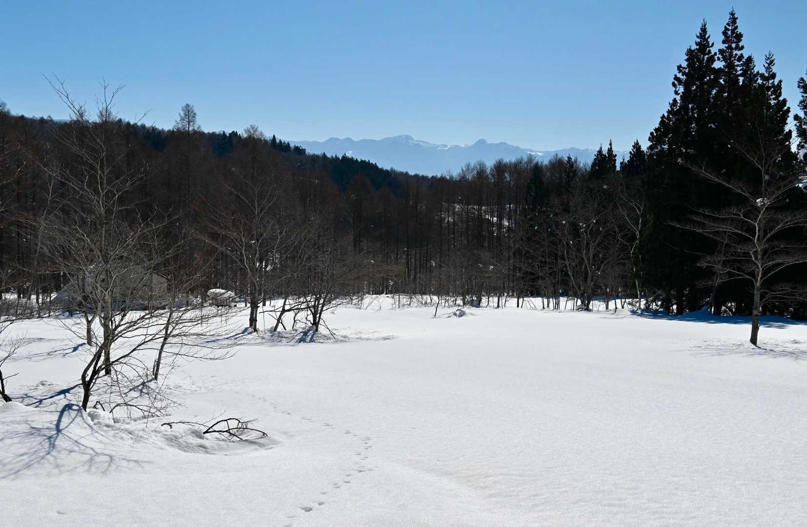 公園も今は広大な雪原になっています

奥には横手山が綺麗に見えてるよ

朝食はいつものチェーン店の朝定食じゃなく
コンビニで済ませようとしたのが仇になりました