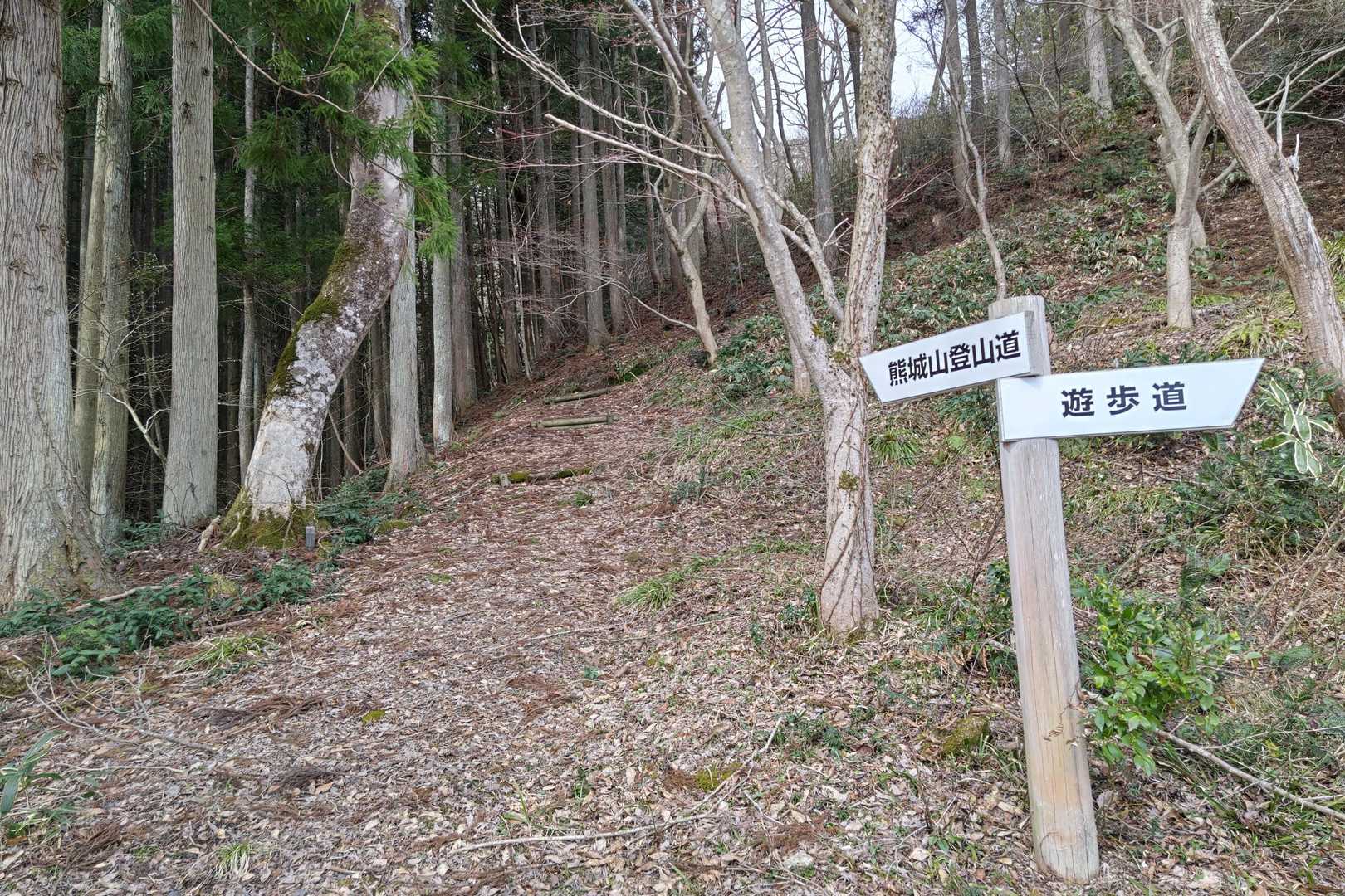 熊城山-丸掛山 周回コースの写真