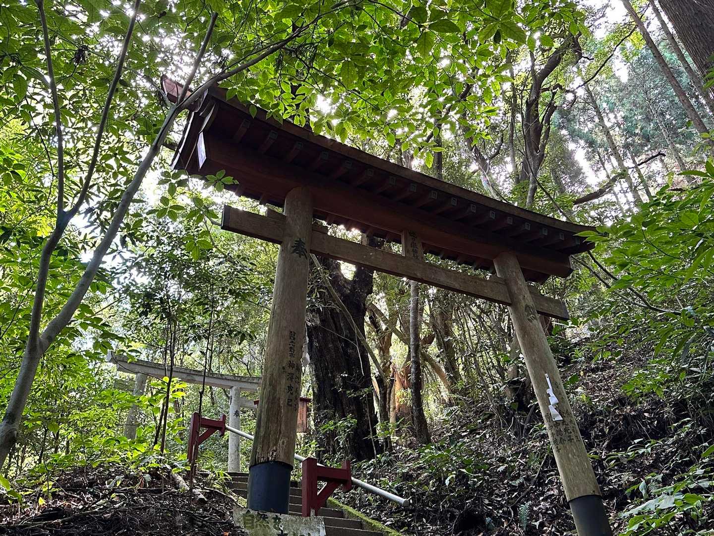 静かな森に囲まれた場所です