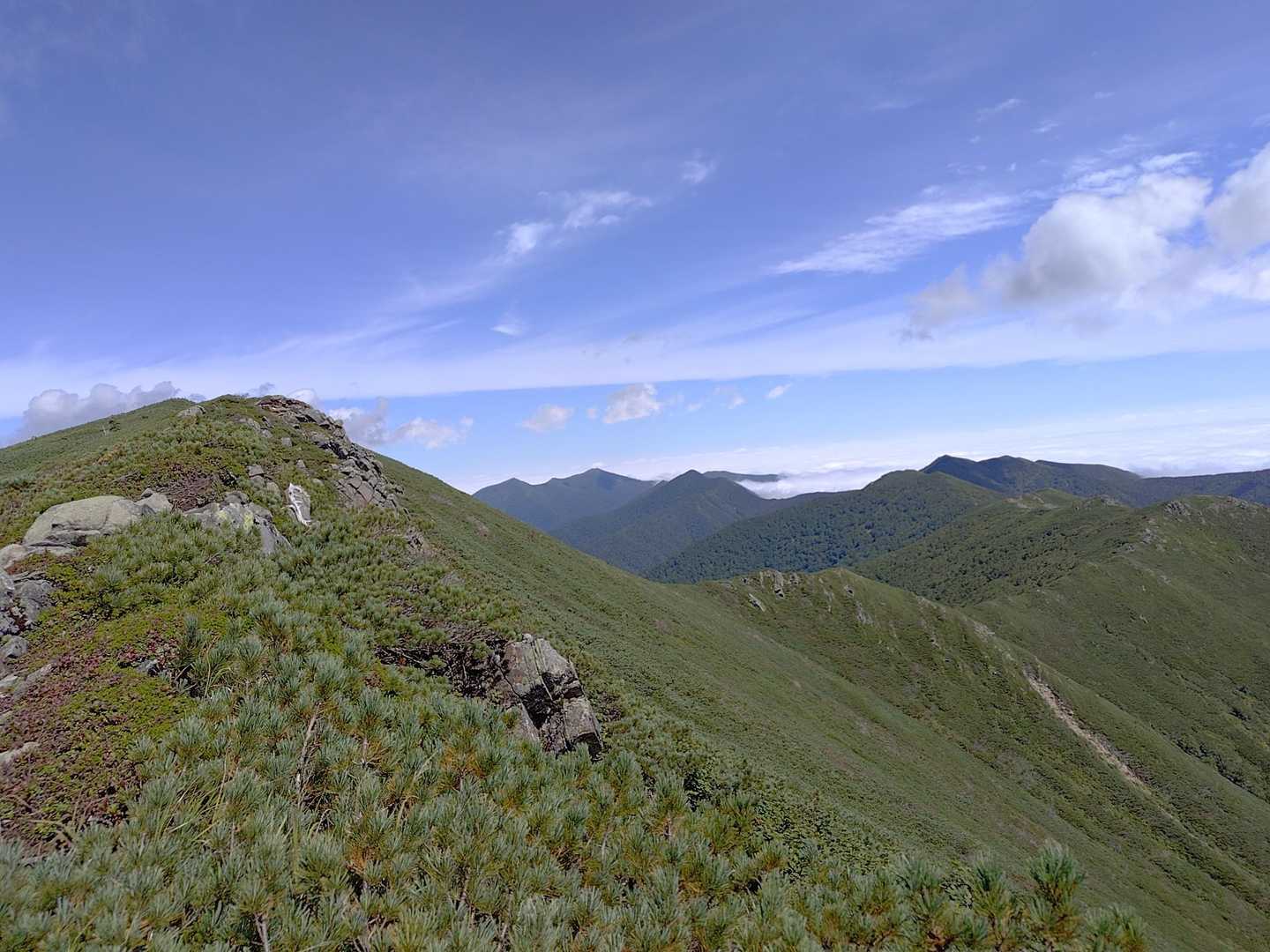 曲り沢登山口-チロロ岳 往復コースの写真