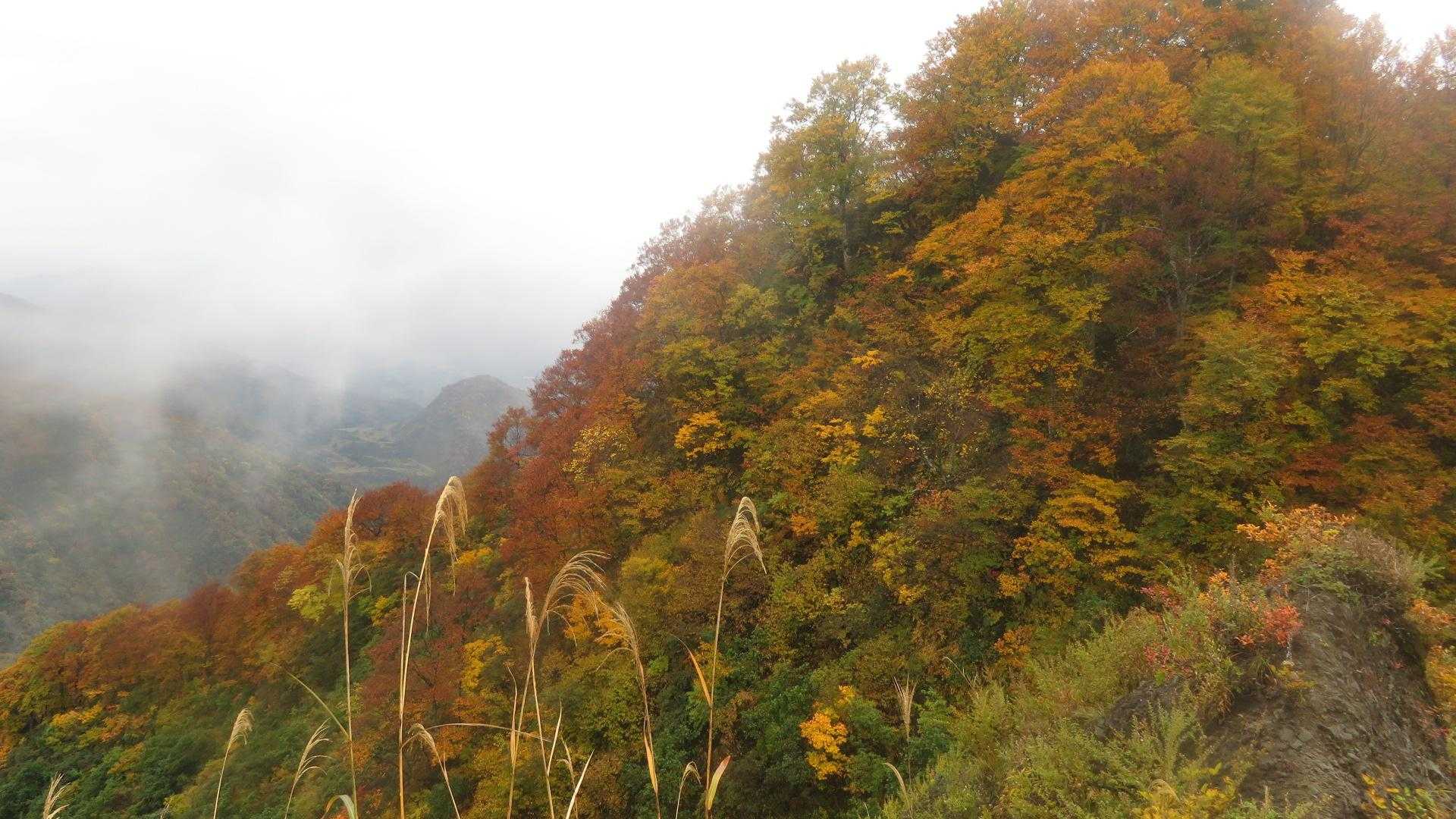 米山（水野林道口）＜水野林道コース＞の写真