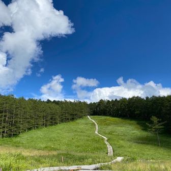 やまっこくるみ