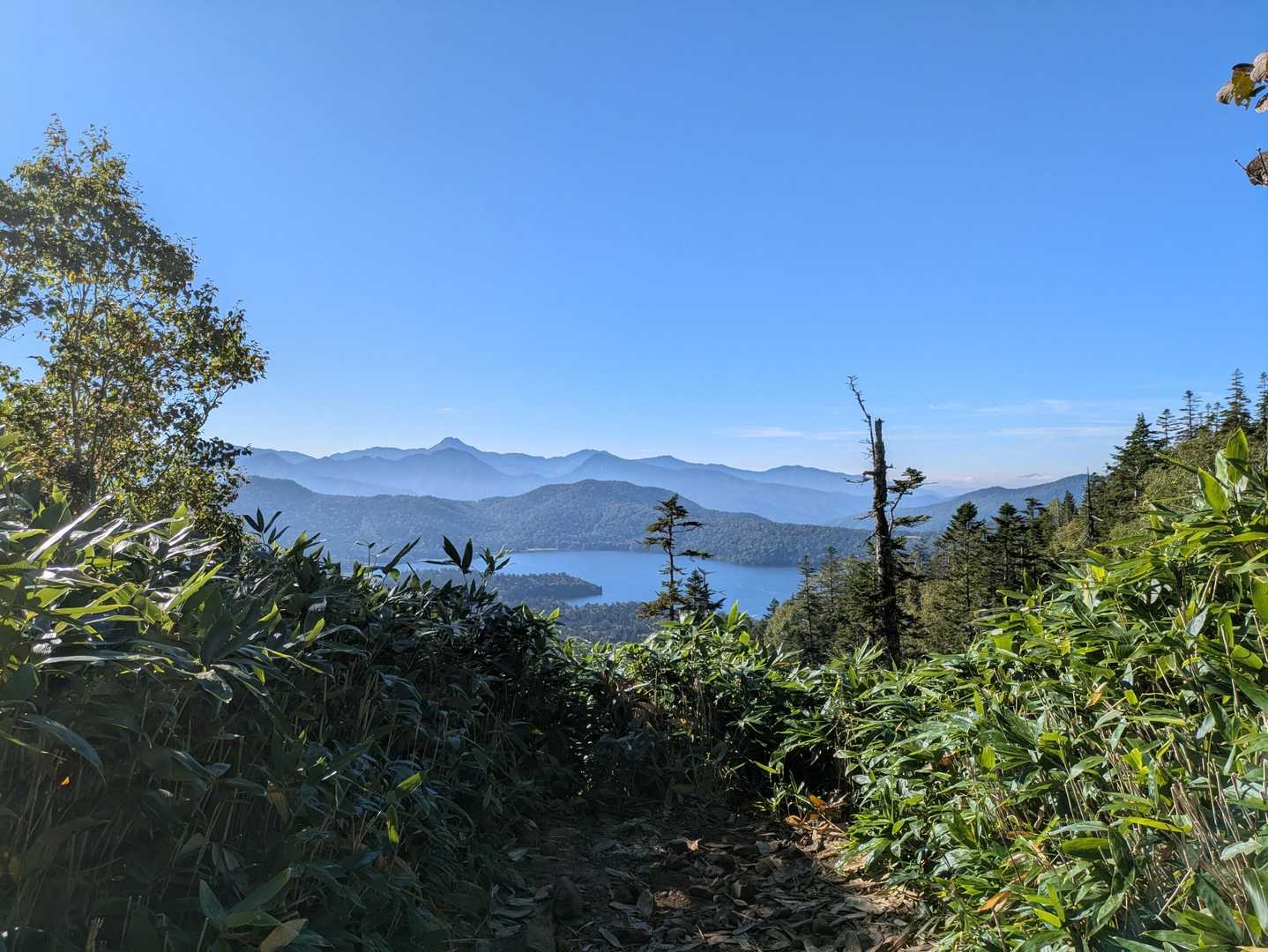 沼が見えた
