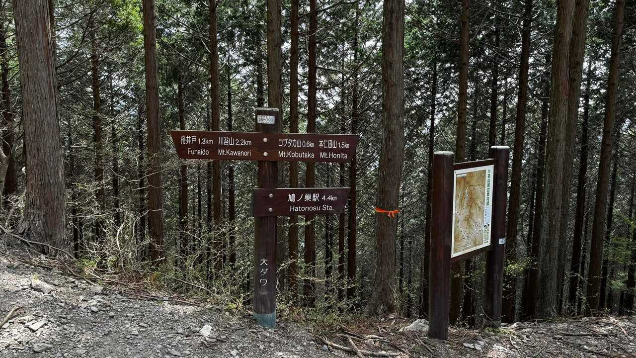 川苔山・梶尾根縦走 の写真 12