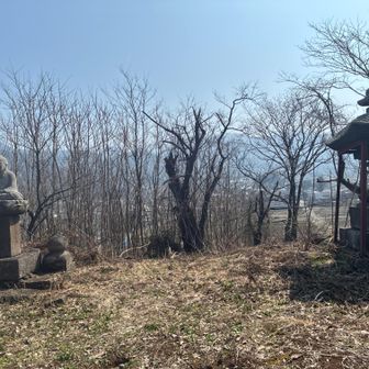 2回目の平塚🙌今日はこの平塚に登るためにはるばる中野から15キロも走ってきました（ウソです😝）。谷街道のすぐ脇にあるのでついでに登ってみました（笑）