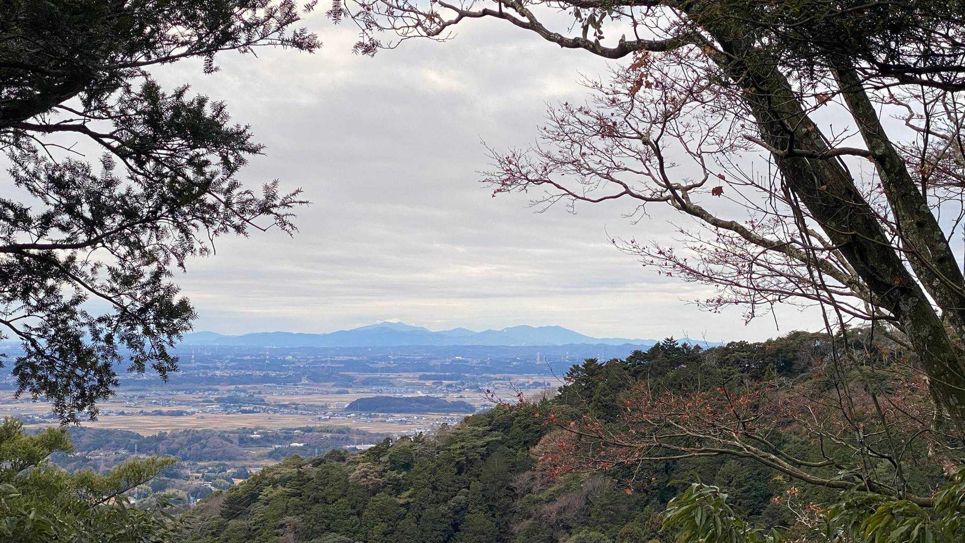 真弓山 往復コースの写真