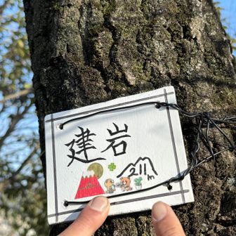 可愛い山名札😊　
お山を愛する人が作ってるのよね☺️

ロビーちゃんが膝に痛みが出てきたの😢
この後のピークは私だけいくことに。
ロビーちゃんは、なだらかな道で駐車場へ戻っててもらいます。