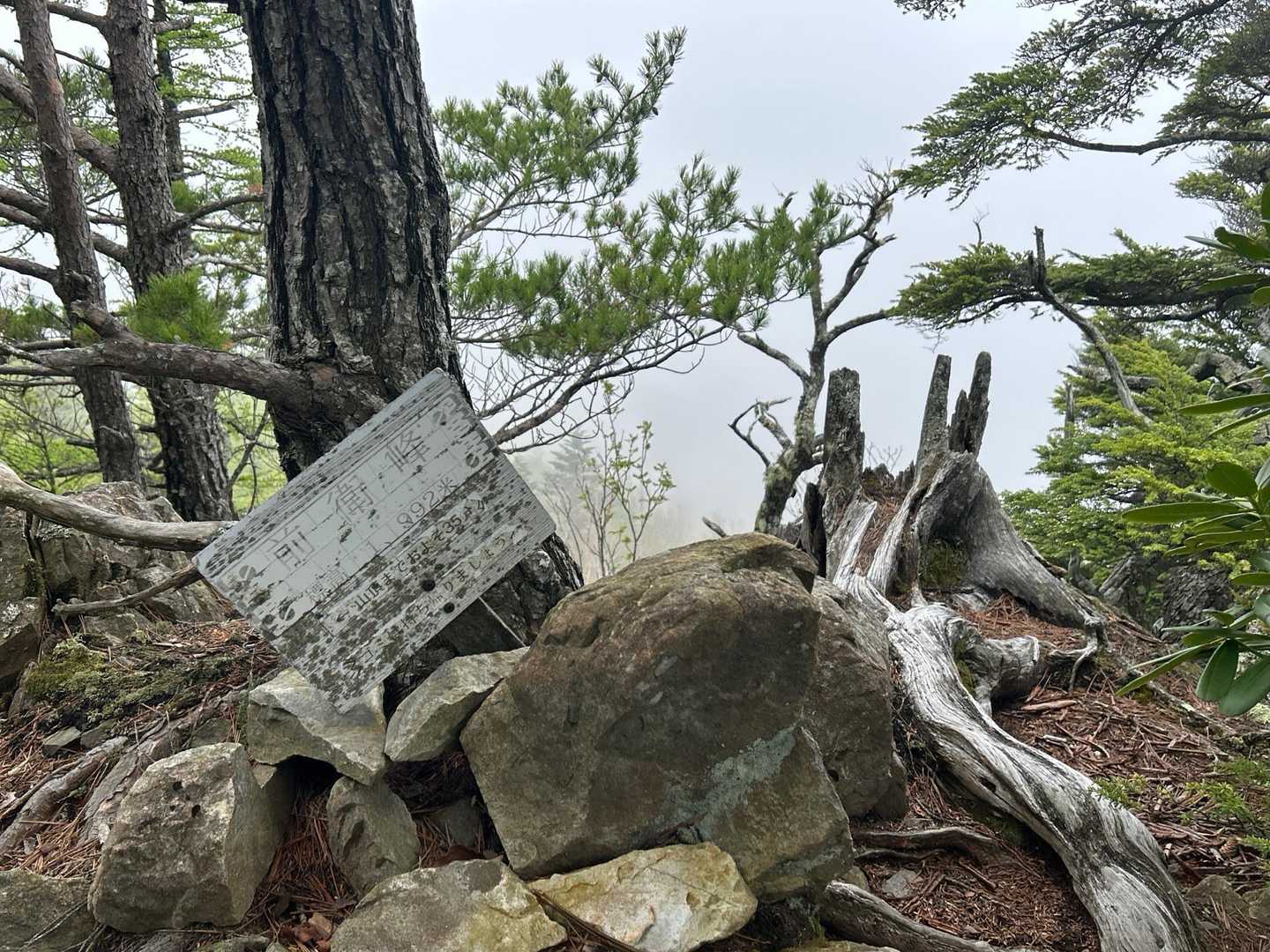 続いて前衛峰に到着❗️♪( ´θ｀)ノ