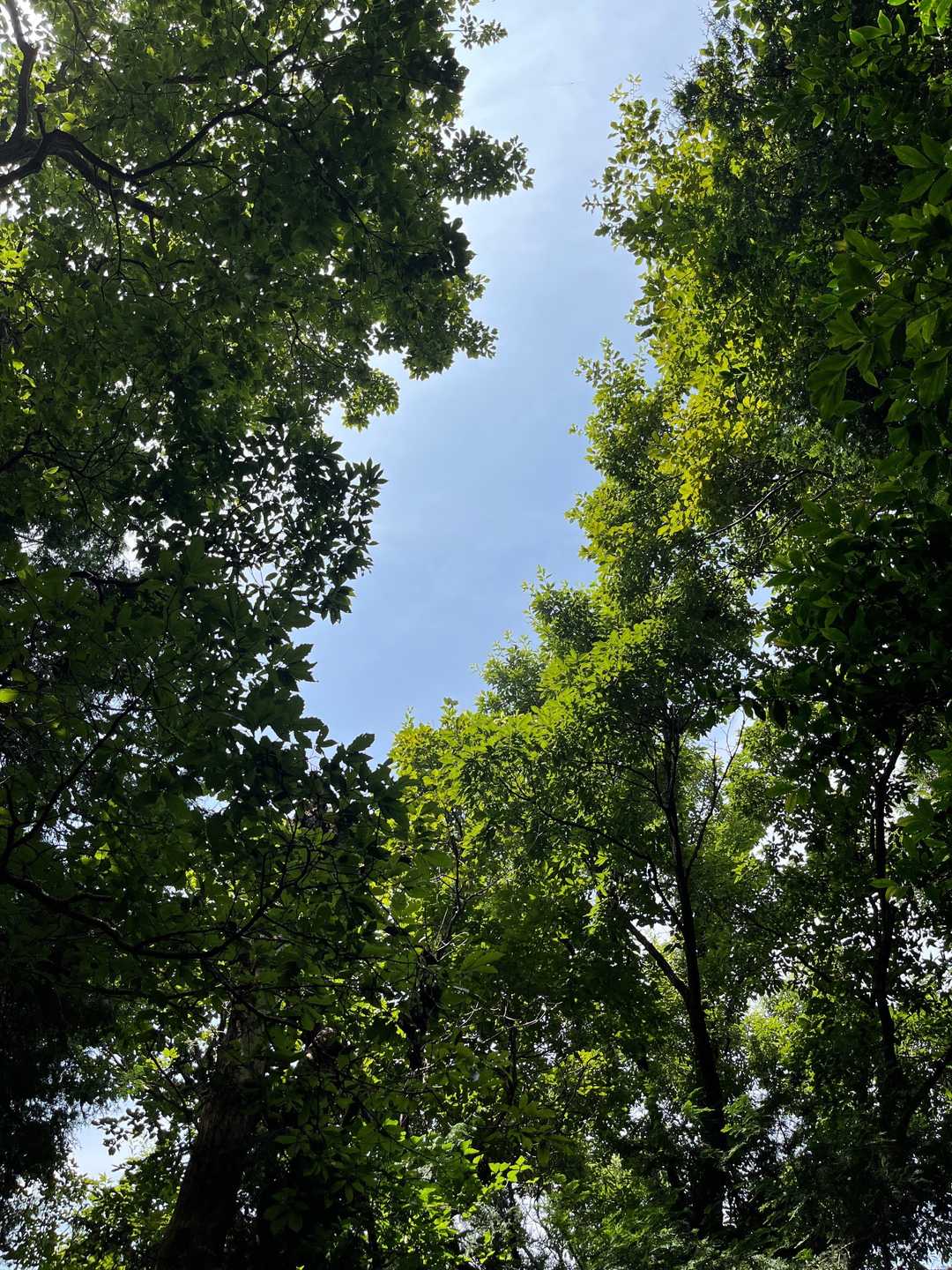 青空見えたーー💙
