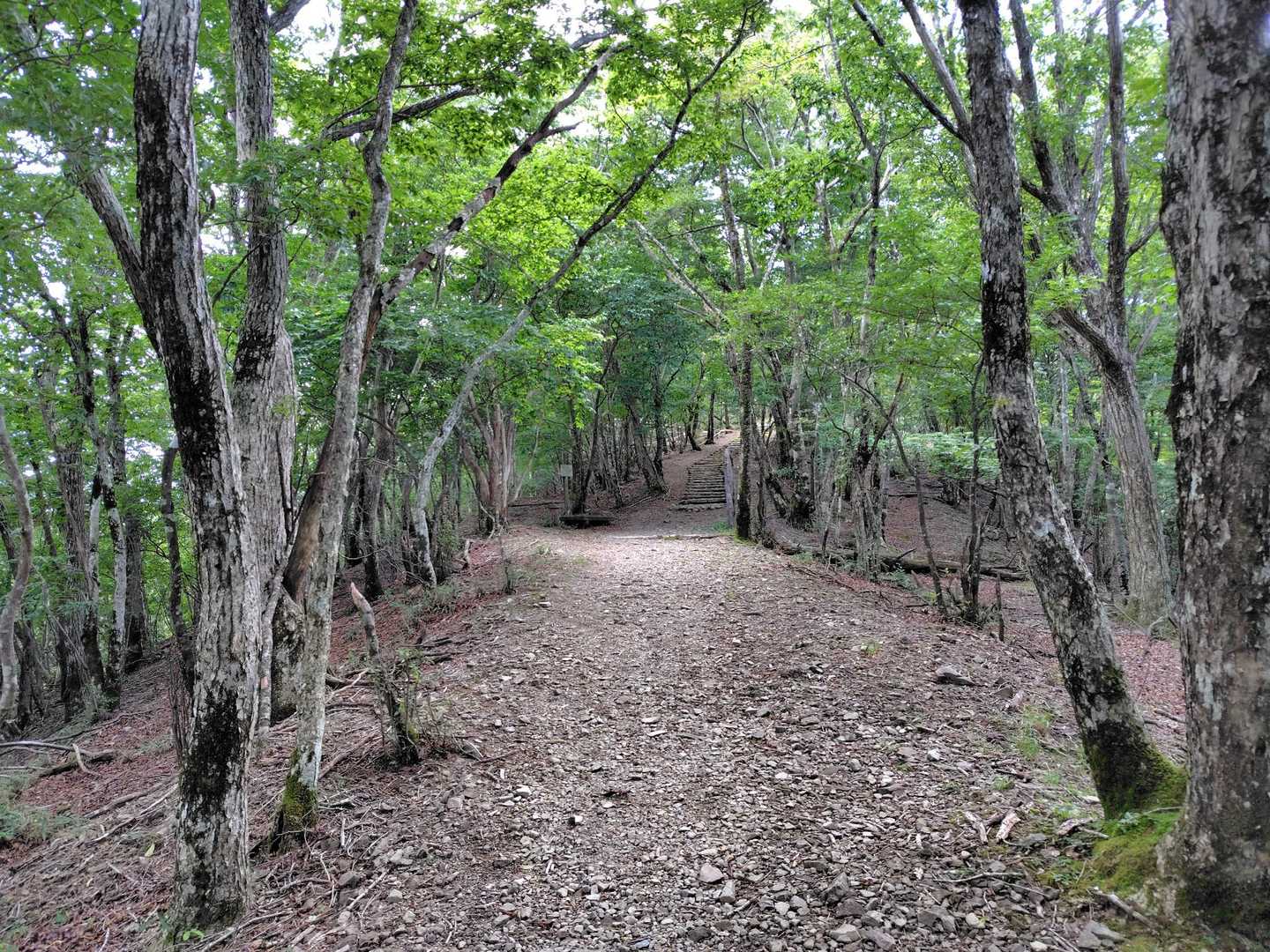 広い登山道