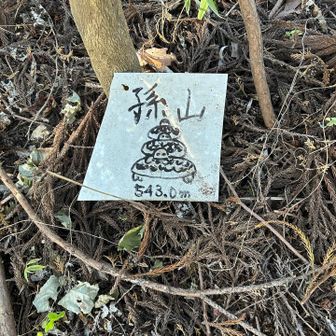 今日最後のピーク。
孫山のイラストかわいい🐢🐢🐢3世代😂