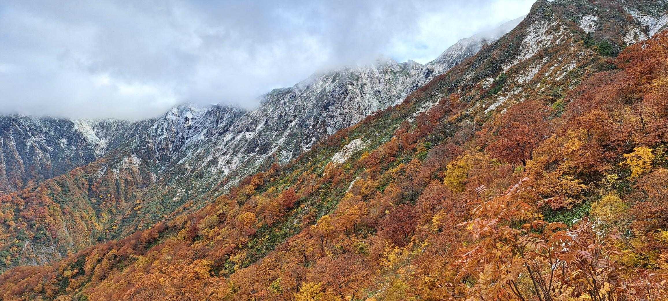 吾策新道登山口-万太郎山 往復コースの写真