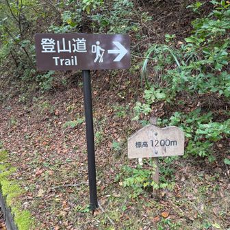 まぁまぁ標高の高い所を歩いてます🚶‍♀️