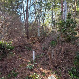 三角点付近片付けました🎵