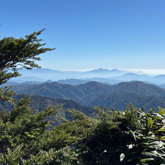 墨絵のような風景