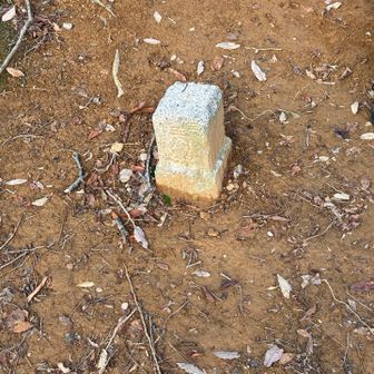 旅伏山三角点ゲット！　ここまでは結構人がいた。