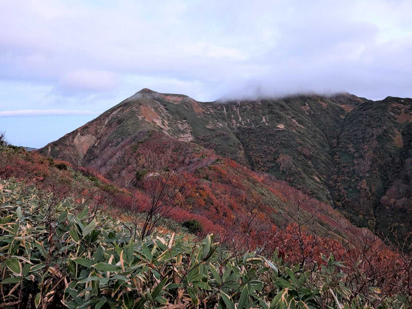 終わりつつあるけどキレイ🍁