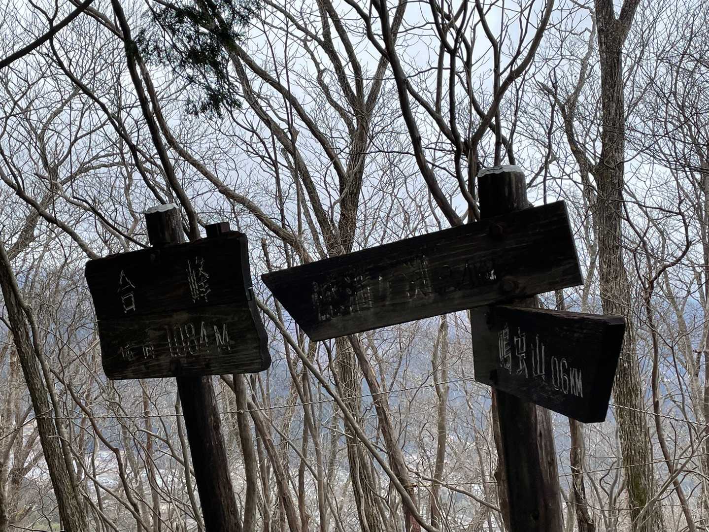 鳴虫山登山口-神ノ主山-鳴虫山-合峰-独標 縦走コースの写真
