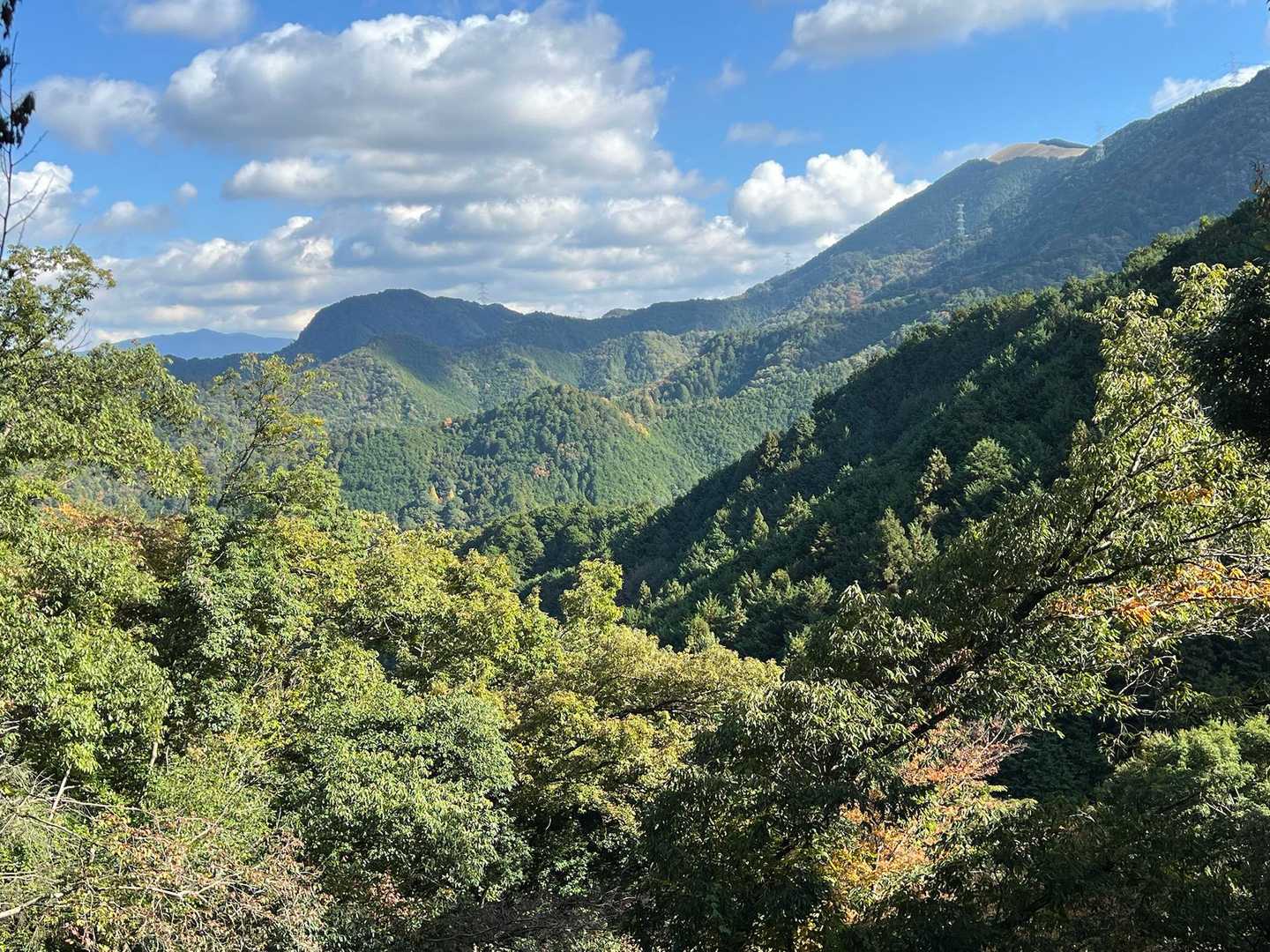岩湧山、金剛山ともお別れです