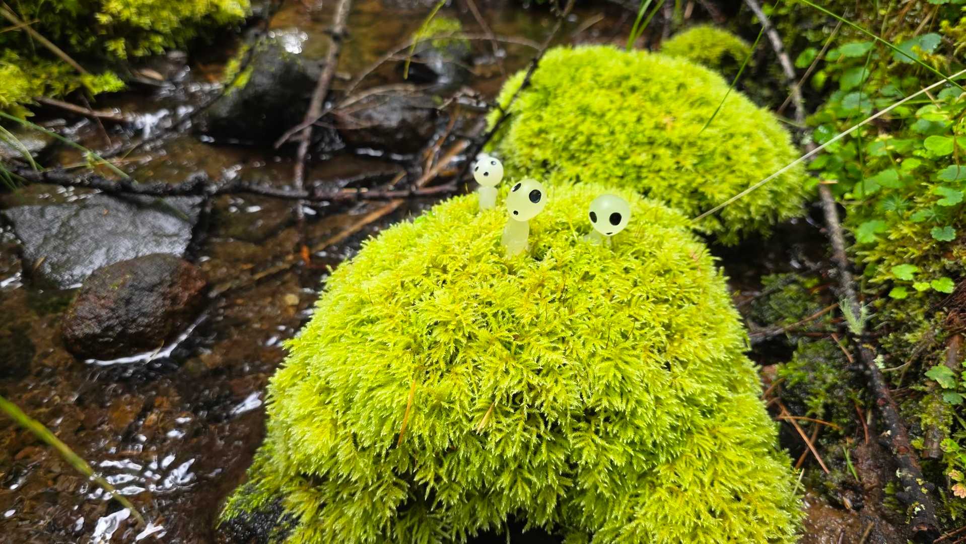 こだまあそび