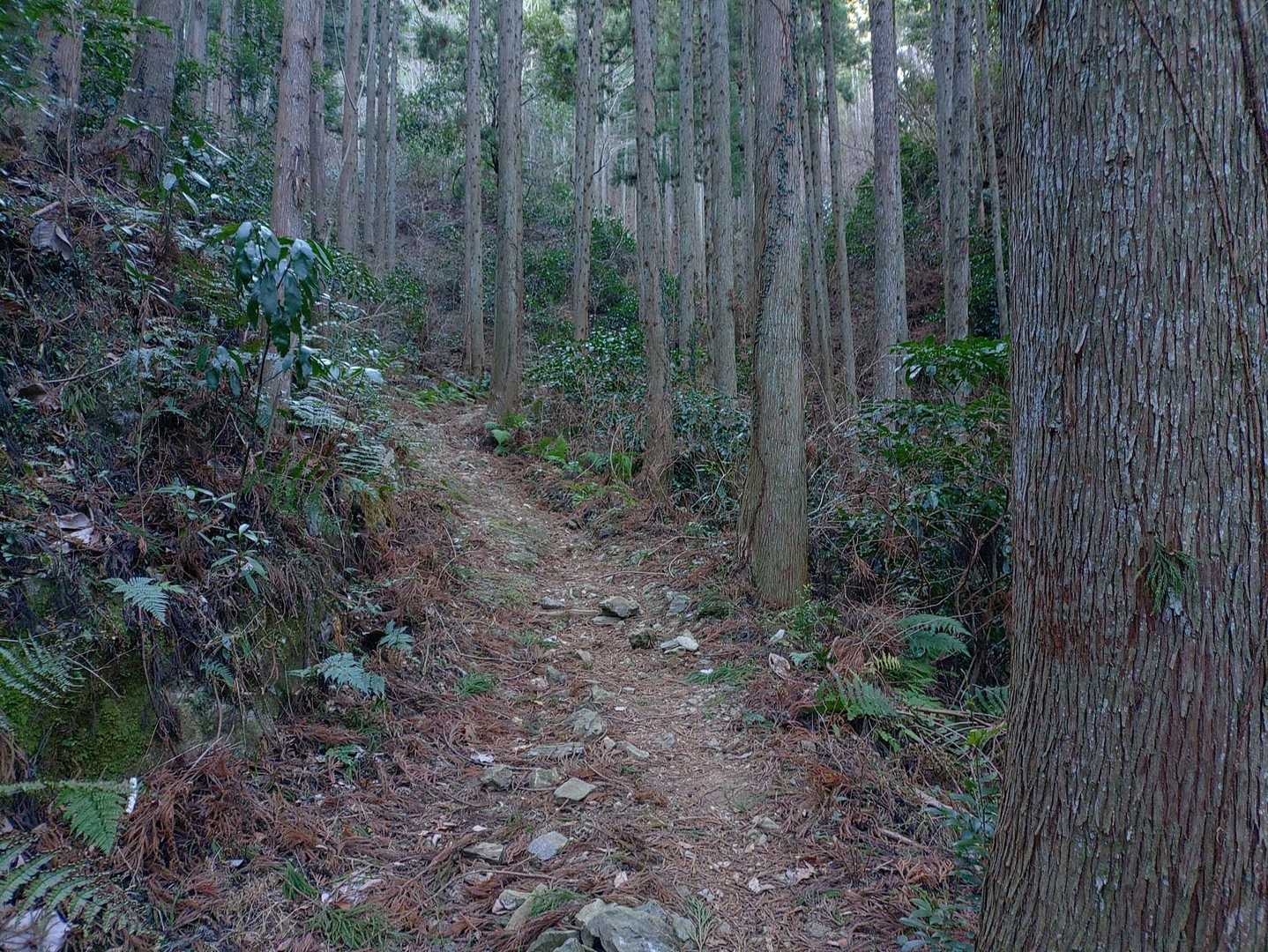 御亭山っぽい🤭