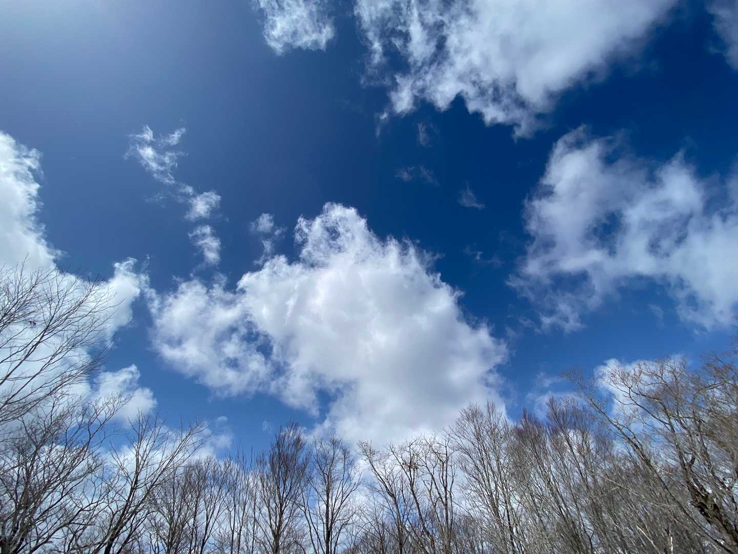 青空と雲　いい感じ