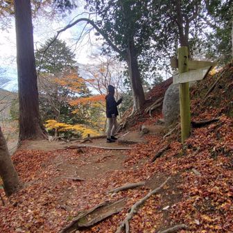 思ったより登っとるから
びっくりだがね〜