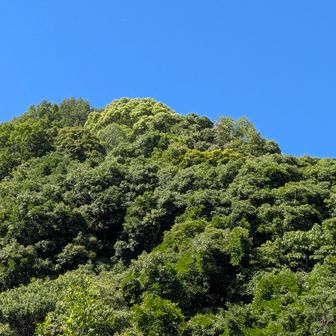 今日はずっとこの青空と、お山の緑💙💚