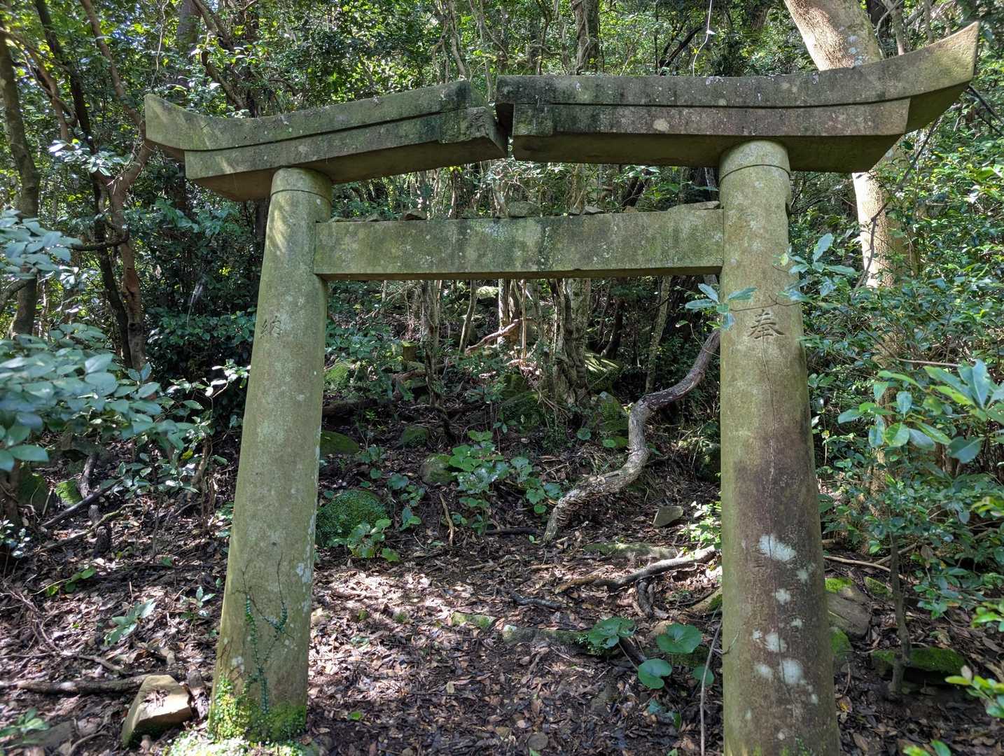 こんな登山口に鳥居が、両端が短いけど重たいのですかね、落ちそう