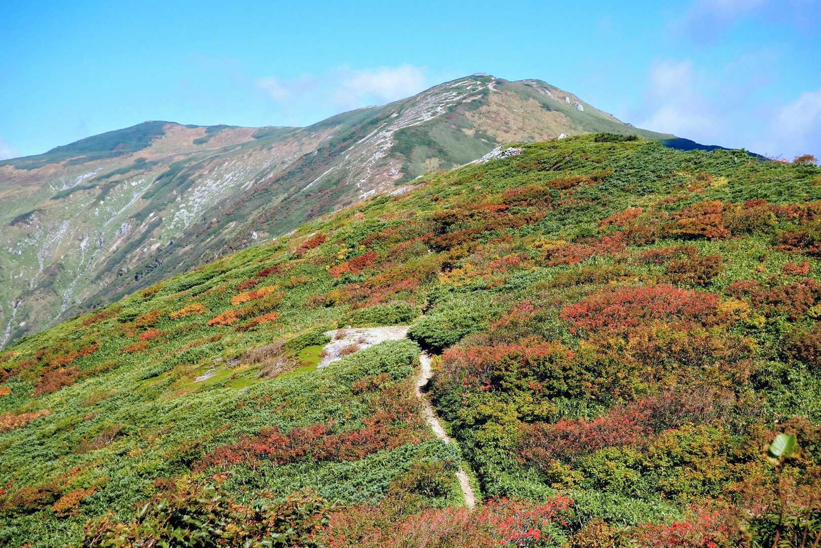 飯豊山への道