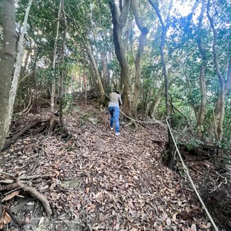 急登の降りです。
雨の日は滑りそうですね。
ロープが有難いです。