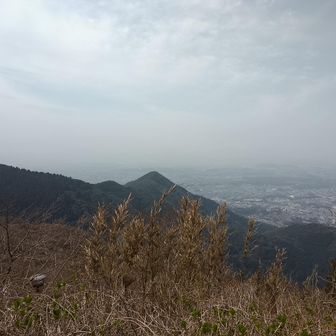 尖りから来ました😁