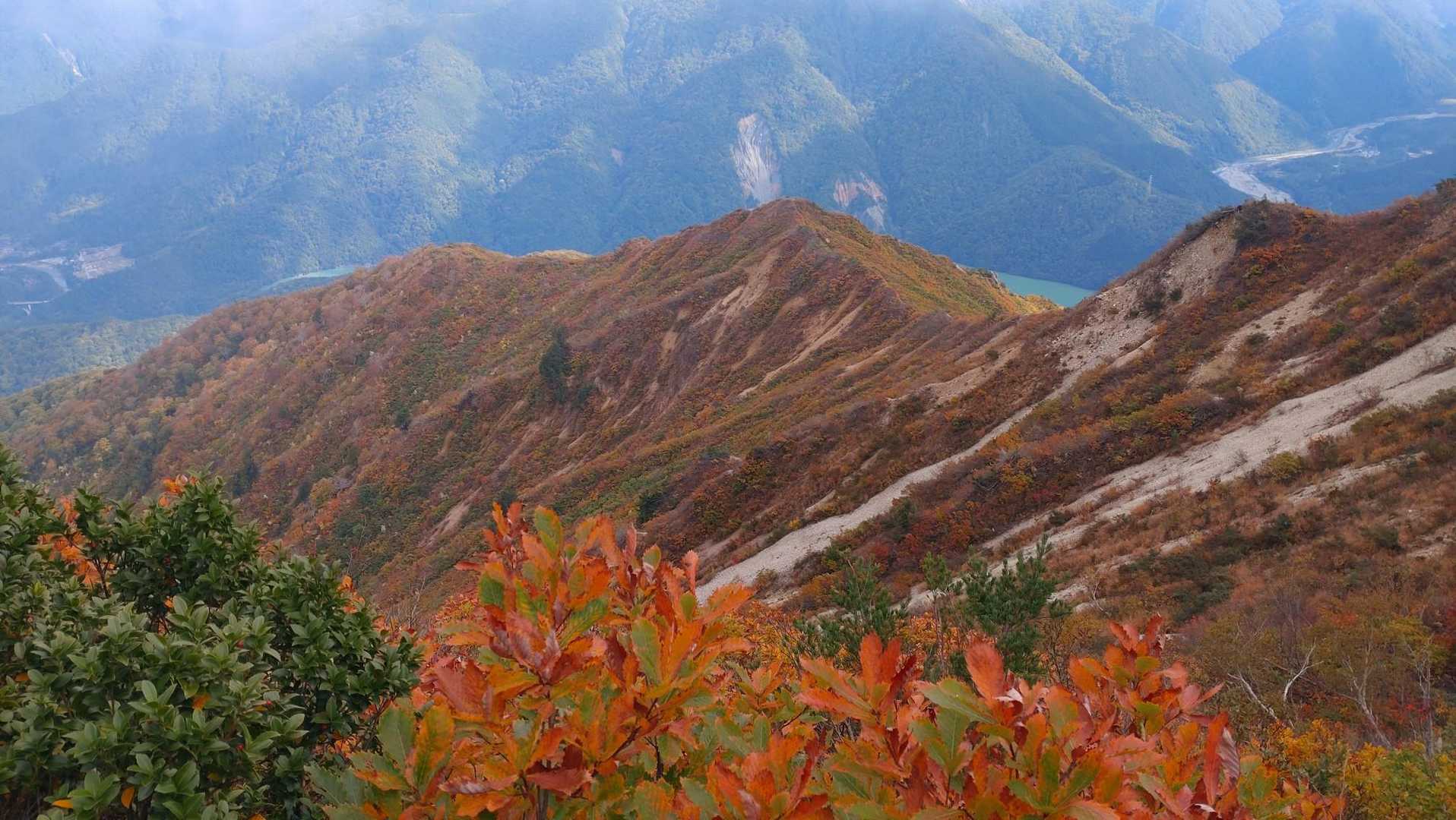 1時間くらい休憩して下山しました。見えている尾根は白川郷方面からの鶴平新道でしょうか。良さげな感じなのでいつか行ってみたいです
