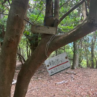 楠部山プレートがあちこちに