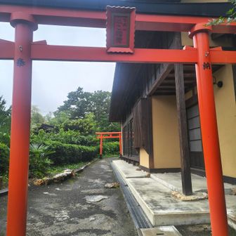 ねこ稲荷
