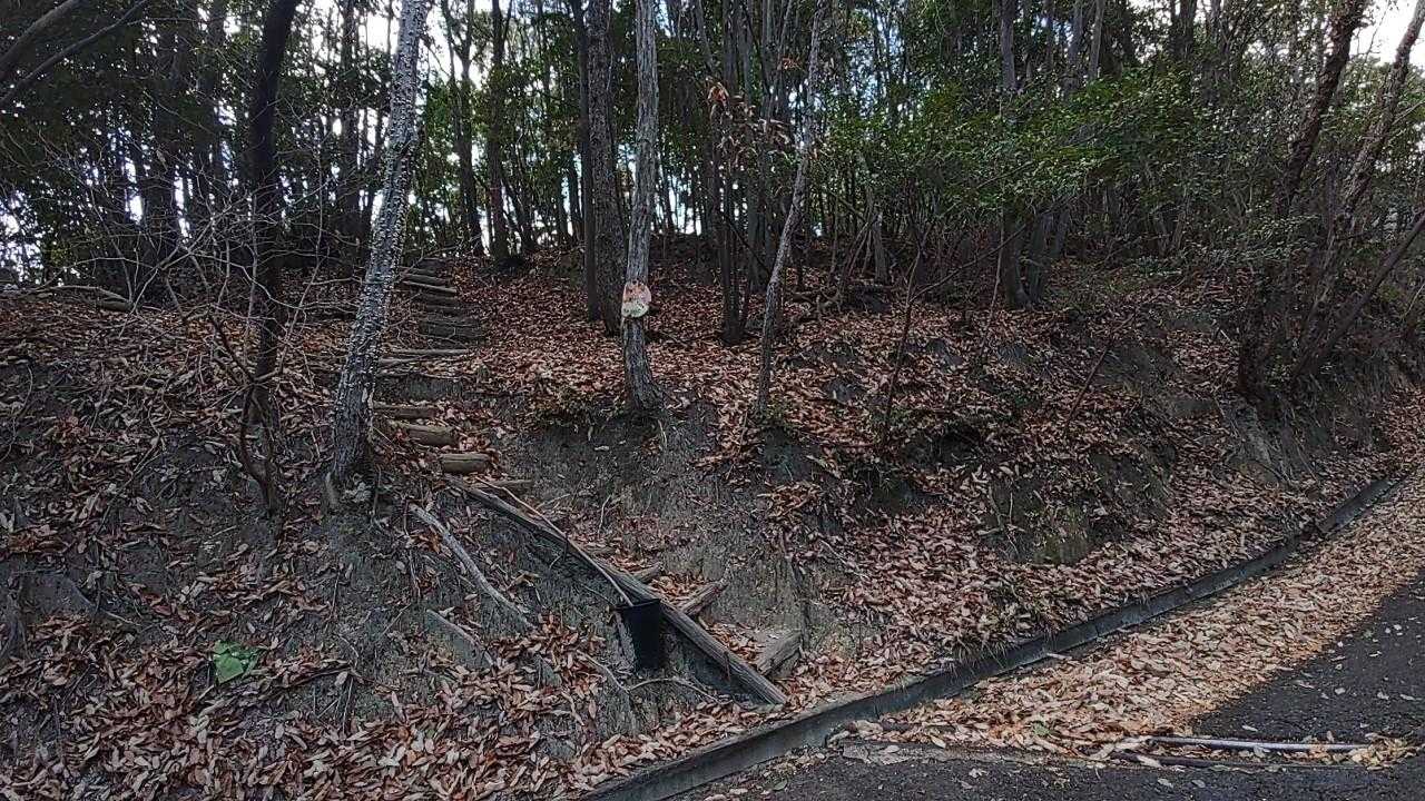 登山口に出て終わり。