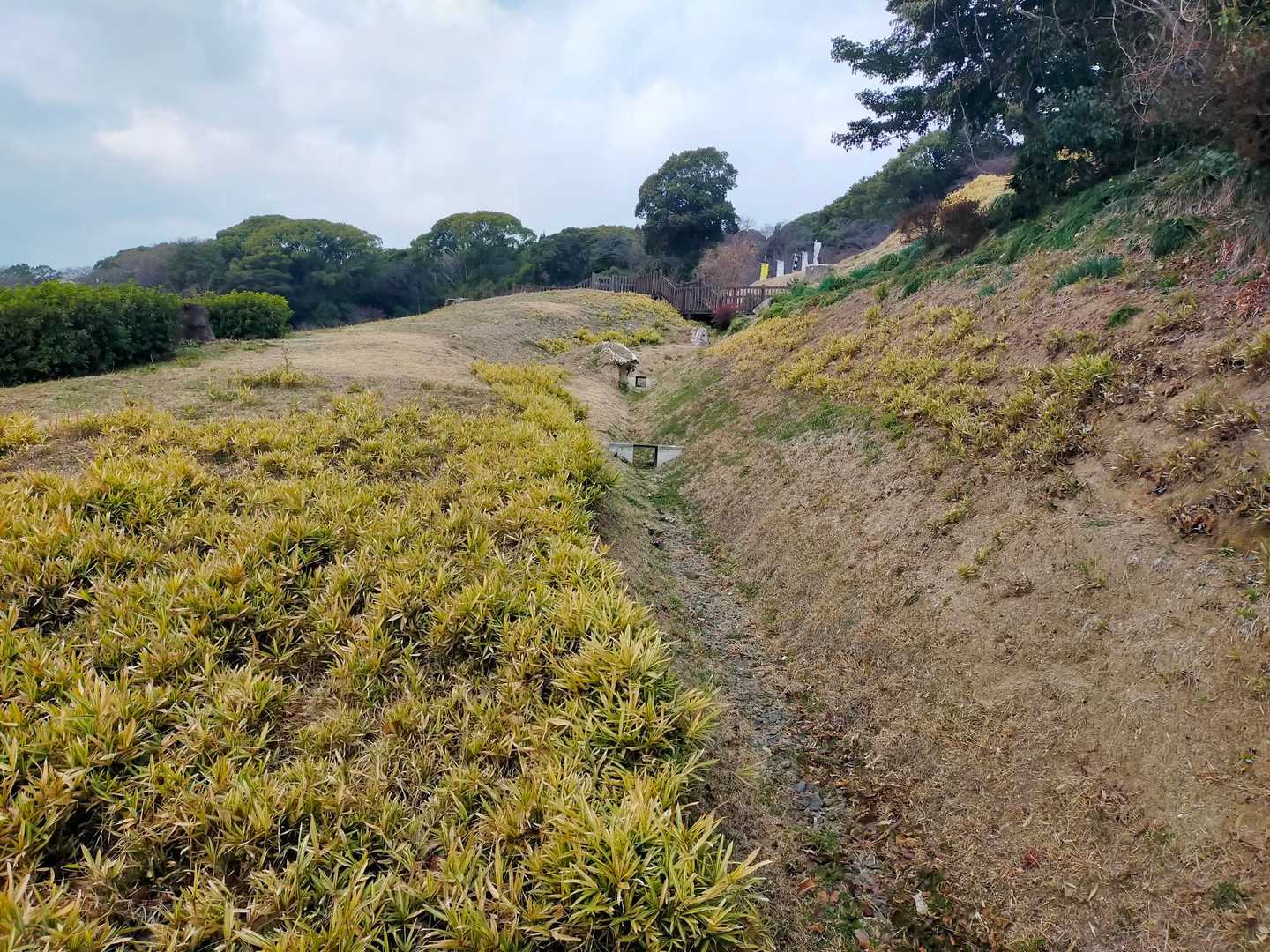 小牧市役所バス停-小牧山 往復コースの写真