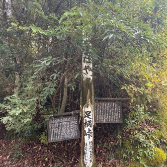 そしていよいよ、吾妻はやの地である足柄峠へ