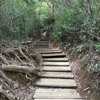 稲荷山コースの階段苦手…