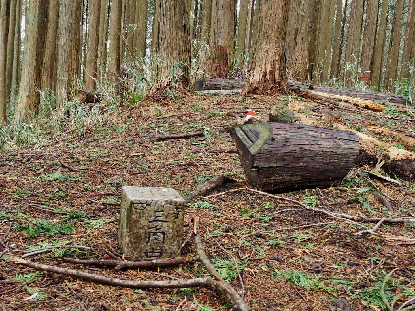 鳥見山山頂