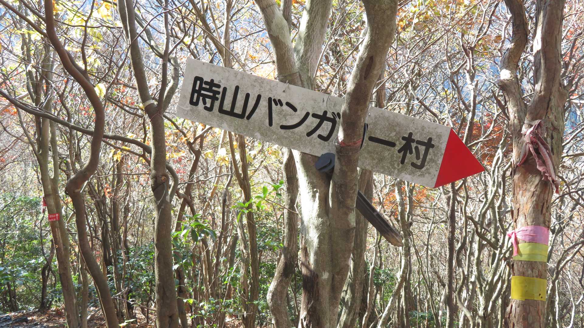 三国岳分岐